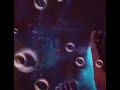 احضن خيوط شمس الغروب