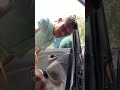 HYUNDAI Tucson Model 2016#follower #car window tinting Yassine sk4