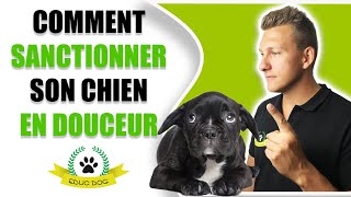 Sanctions pour chien : comment punir un chien qui n'obéit pas ?