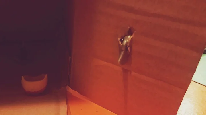 the door scene from the shinning