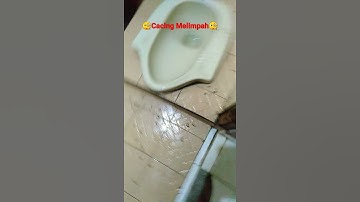 kalo udah musim hujan, dari celah keramik keluar ratusan cacing 😭😭😭