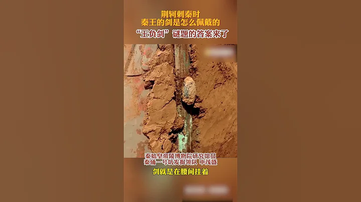 荆轲刺秦时秦王为什么拔不出剑 真相揭晓 | 中华国宝 - 天天要闻