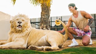 I Lived Like A Billionaire For A Week