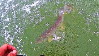 :  !   !?      2024.