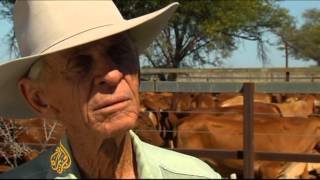Australian farmers deal with 'cattle crisis'