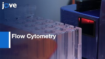 Flow Cytometric Analysis of NK Cell lytic Activity | Protocol Preview
