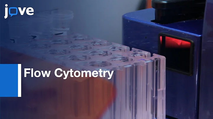 Flow Cytometric Analysis of NK Cell lytic Activity | Protocol Preview