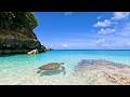 (No AI) 6 Hours of Beautiful Beach Ambience &amp; Ocean Sounds Tranquility
