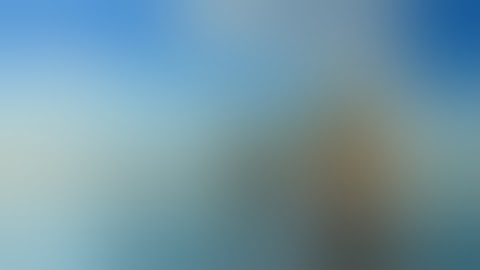 verify update xếp hạng