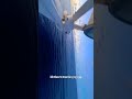 In the middle of the ocean #trending#trendingshorts#shorts#youtubeshorts#youtube#ytshorts#sailing