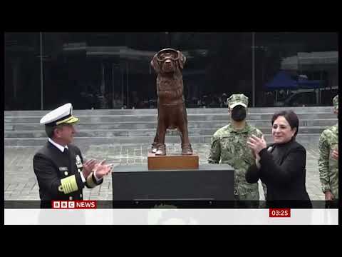 Hero rescue dog Frida is honoured with a statue (Mexico)