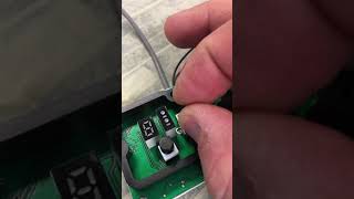 IMG 3806