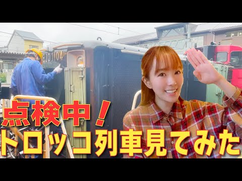 嵯峨野観光鉄道トロッコ嵯峨駅にて点検中のDE10形ディーゼル機関車を見