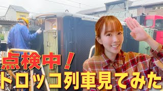 嵯峨野観光鉄道トロッコ嵯峨駅にて点検中のDE10形ディーゼル機関車を見させてもらいました！
