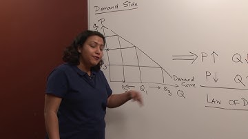 Econ 600 Lecture 5: Demand and Supply Model Part 1