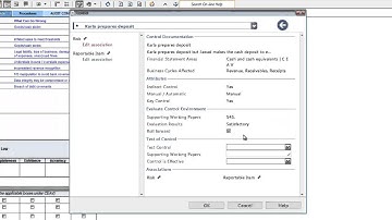 CaseWare Audit: Documenting Controls