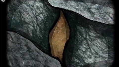 [Rusty Lake] Cube Escape: The Cave Walkthrough