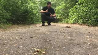 Total Body Core 2 min Workout Rolling Starfish