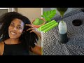 How To Make Moringa Oil For Over Night Hair Growth|| Back2NaturalGirls