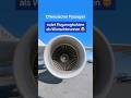 Chinesischer Passagier nutzt eine Flugzeugturbine als Wunschbrunnen 😵‍💫✈️