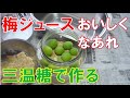 梅ジュース 三温糖で作る