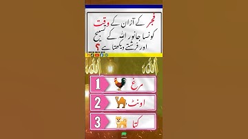 General Knowledge Quiz: Test Your IQ with These Questions 🧠