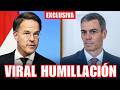 ¡HUMILLACIÓN TOTAL! LA OTAN EXPONE A SÁNCHEZ ANTE EL MUNDO