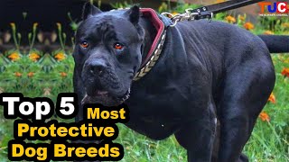 Top 5 Most Protective Dog Breeds : Guard Dogs : TUC