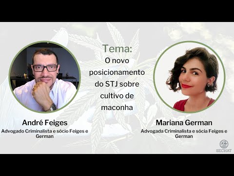 O novo posicionamento do STJ sobre cultivo de maconha O novo posicionamento do STJ sobre cultivo de maconha