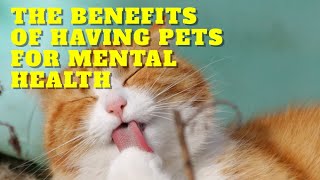 The Benefits Of Having Pets For Mental Health