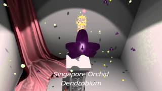 EON Reality: WorldSkills Virtual Reality Floristry Training