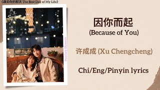 Download lagu 因你而起 (Because of You) - 许成成 (Xu Chengcheng)《遇见你的那天 The Best Day of My Life》Chi/Eng/Pinyin lyrics