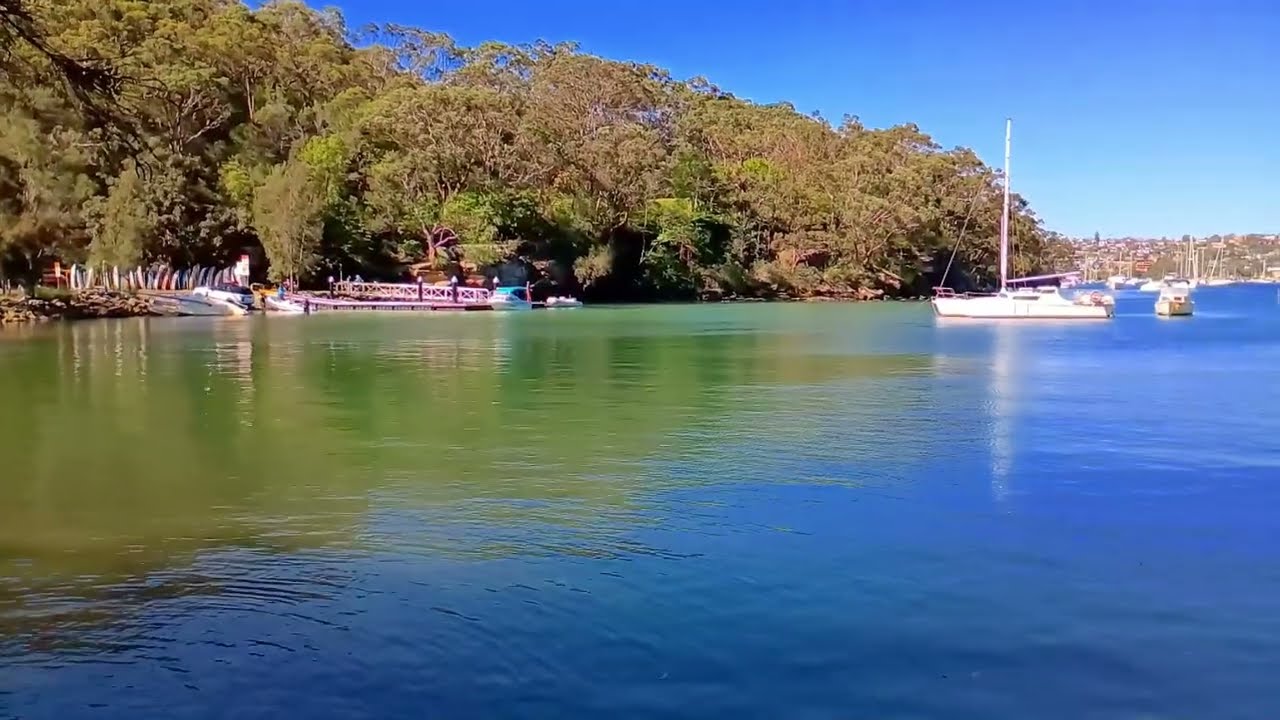 Middle Harbour | Flat Rock Gully Creek & Tunks Reserve Outlook