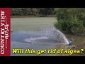 The Algae is back on the pond, will this help?