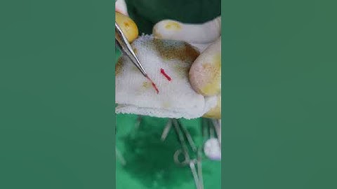 2 villains of PME.#pme 📞/ Whats app 8882126505 / 9818565166