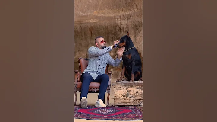 #doberman #dobermanlove #dog #hunterprogeny #hunter #puppies #erdemayazz #huntervitalscreen #2023