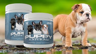 bully supplements