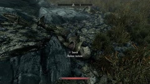 Skyrim- Thalmor vs Vampires, random encounter....