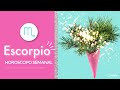 ESCORPIO! LO QUE SIEMPRE DESEASTE!! Horóscopo Semanal 28 de Diciembre 3 de Enero HOROSCOPOS Y TAROT