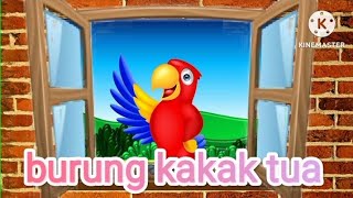 LAGU ANAK INDONESIA ||BURUNG KAKAK TUA