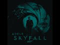 Miniature de la vidéo de la chanson Skyfall (Radio Edit)