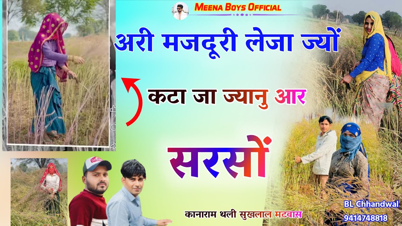 अरी मजदूरी लेजा ज्यों कटा जा ज्यानु आर सरसों || Kanaram thali new meena song | कानाराम थली मीणा गीत