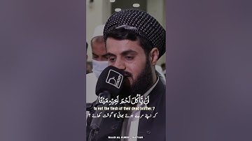 Raad Al kurdi Whatsapp status with Urdu English translation|رعد الكردي حالات واتس اب|سورة الحجرات