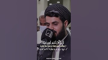 Raad Al kurdi Whatsapp status with Urdu English translation|رعد الكردي حالات واتس اب|سورة الحجرات