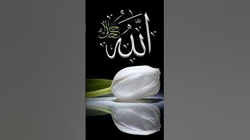 سبحان الله وبحمده سبحان الله العظيم قران كريم