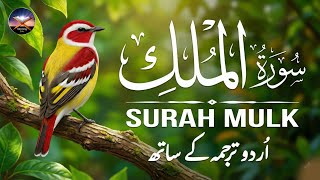 Surah Al-Mulk with Urdu Translation | Qari Mansoor | Protection & Peaceful Night Recitation