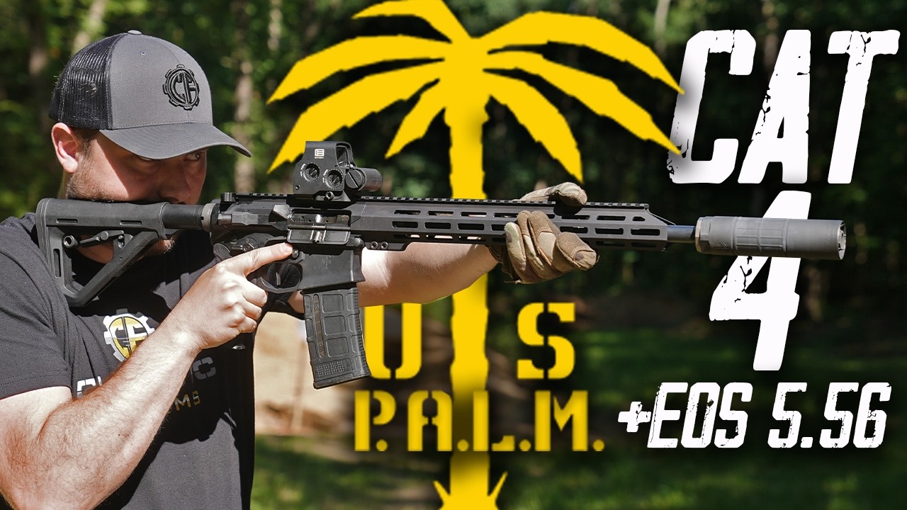This New AR-15 Setup Surprised Us! | Storm CAT4 & EOS Suppressor
