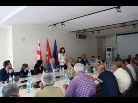თეა ახვლედიანმა სახელმწიფო პროგრამებისა და სერვისების შესახებ ბოლნისში საინფორმაციო კამპანია გახსნა