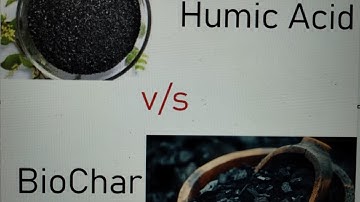 Humic Acid v/s Biochar effect on root growth