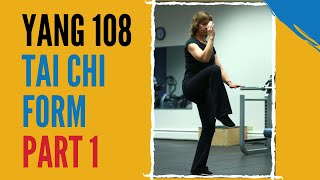 Learn the Yang 108 Tai Chi Form - PART 1